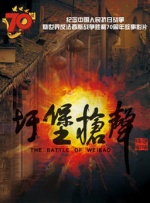 久久视屏这里只有精品6国产